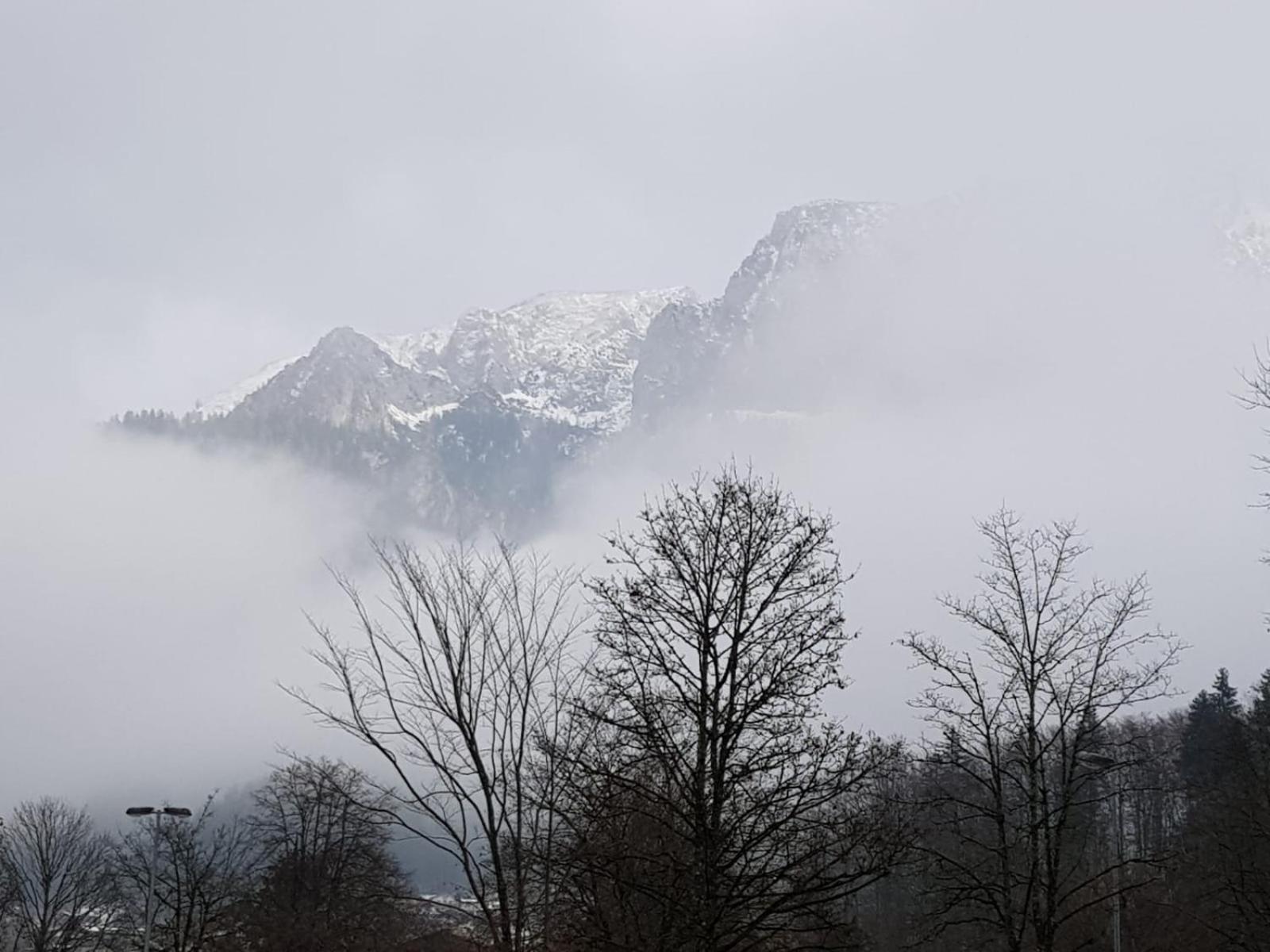 Alpina Inzell Wohnung 454 Bagian luar foto